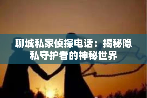 聊城私家侦探电话：揭秘隐私守护者的神秘世界