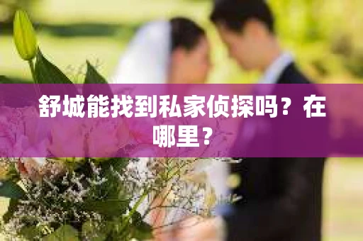 舒城能找到私家侦探吗？在哪里？