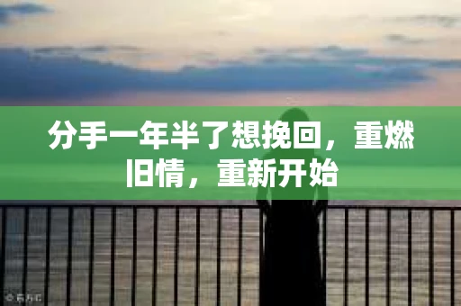 分手一年半了想挽回，重燃旧情，重新开始