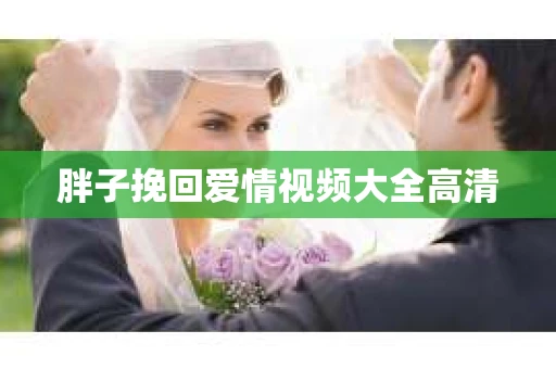 胖子挽回爱情视频大全高清