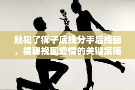 触犯了狮子底线分手后挽回,揭秘挽回爱情的关键策略 触犯了狮子底线分手后挽回,揭秘挽回爱情的关键策略
