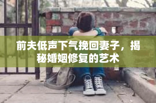 前夫低声下气挽回妻子，揭秘婚姻修复的艺术
