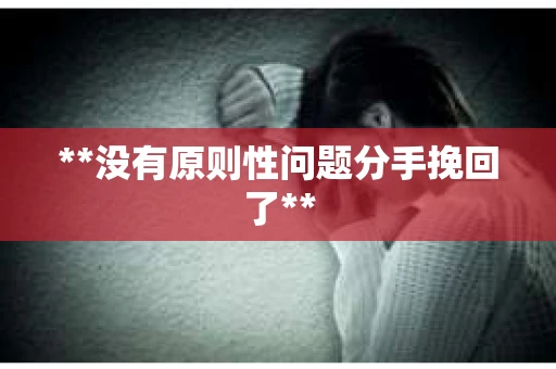 **没有原则性问题分手挽回了**