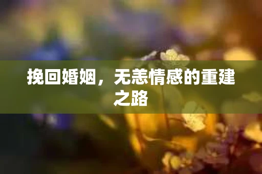 挽回婚姻，无恙情感的重建之路