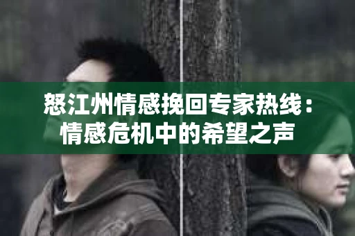 怒江州情感挽回专家热线：情感危机中的希望之声