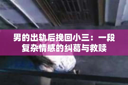男的出轨后挽回小三：一段复杂情感的纠葛与救赎