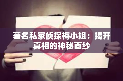 著名私家侦探梅小姐：揭开真相的神秘面纱