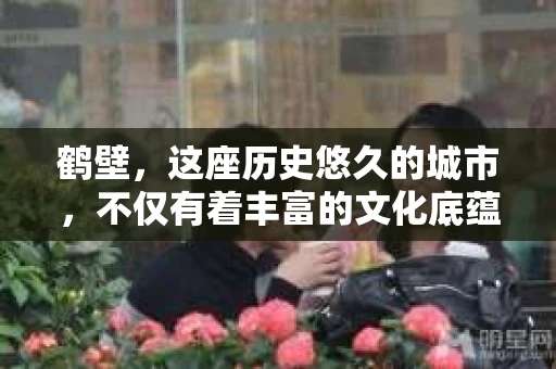 鹤壁，这座历史悠久的城市，不仅有着丰富的文化底蕴，还隐藏着许多不为人知的秘密。而在这座城市中，就有这样一群人，他们以侦探的身份，穿梭在城市的每一个角落，探寻着那些隐藏在光鲜外表下的真相。今天，就让我带你走进鹤壁，了解这里的私家侦探。