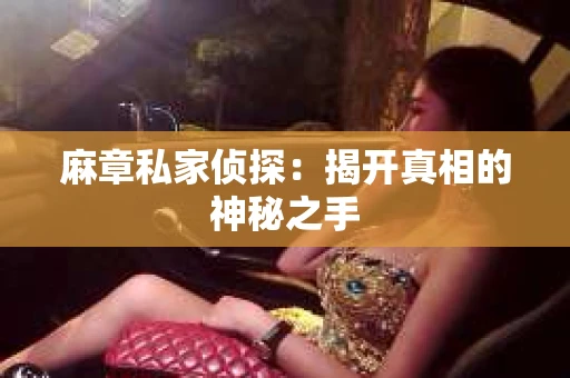 麻章私家侦探：揭开真相的神秘之手