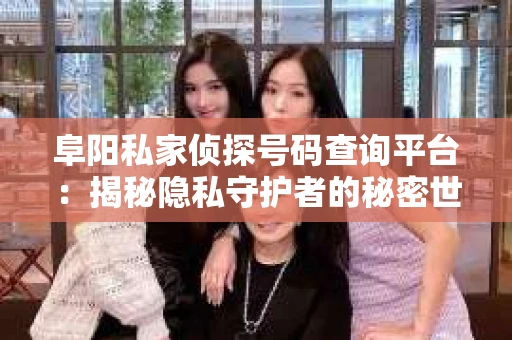阜阳私家侦探号码查询平台：揭秘隐私守护者的秘密世界