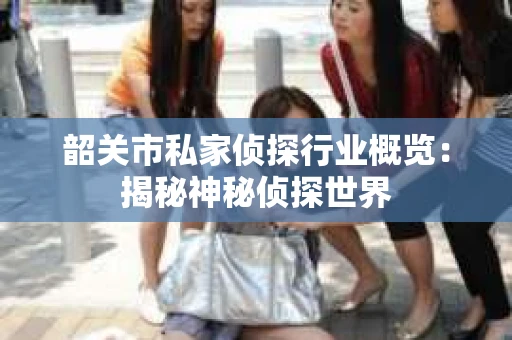 韶关市私家侦探行业概览：揭秘神秘侦探世界