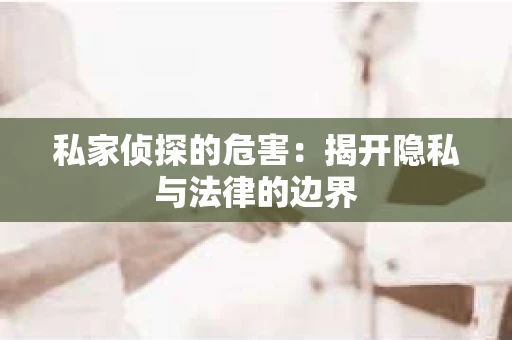 私家侦探的危害：揭开隐私与法律的边界
