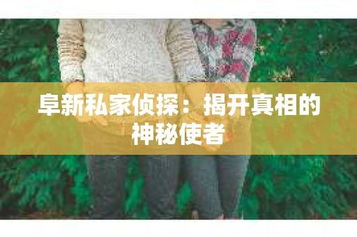 阜新私家侦探：揭开真相的神秘使者