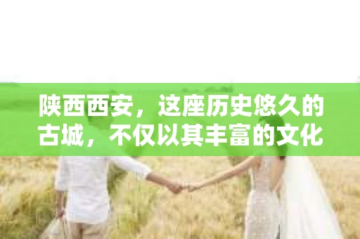 陕西西安，这座历史悠久的古城，不仅以其丰富的文化遗产著称，也是现代金融服务业的重要基地。在这座城市中，催收行业同样活跃，那么，陕西西安哪里的催收呢？今天，我们就来聊聊这个话题。