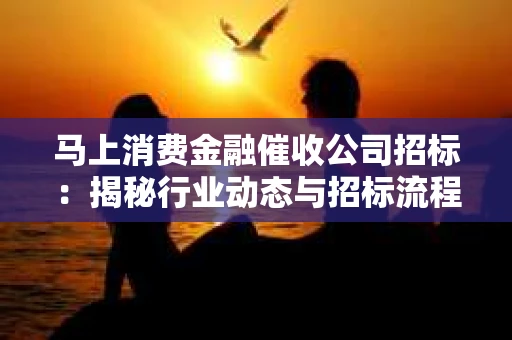 马上消费金融催收公司招标：揭秘行业动态与招标流程