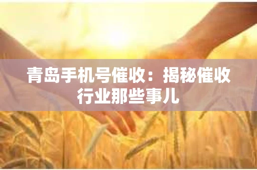 青岛手机号催收：揭秘催收行业那些事儿