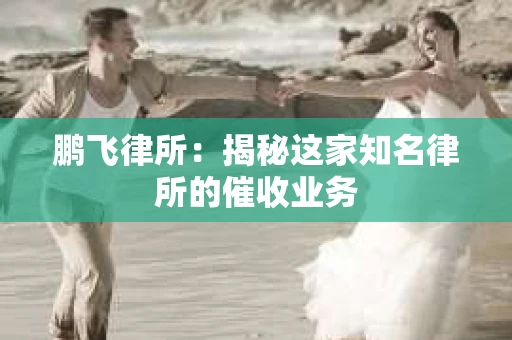鹏飞律所：揭秘这家知名律所的催收业务