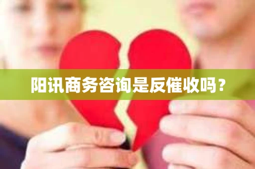 阳讯商务咨询是反催收吗？