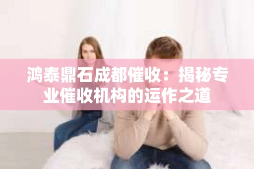 鸿泰鼎石成都催收：揭秘专业催收机构的运作之道