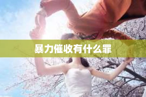 暴力催收有什么罪