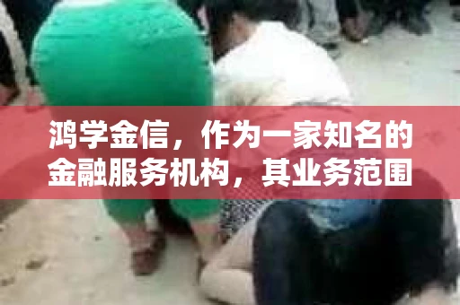 鸿学金信，作为一家知名的金融服务机构，其业务范围广泛，涉及个人贷款、消费金融等多个领域。然而，在业务拓展的同时，如何有效催收逾期款项，成为许多借款人和金融机构关注的焦点。今天，我们就来聊聊鸿学金信的催收方式，看看他们是如何在合规的前提下，高效地解决逾期问题。