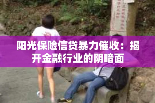 阳光保险信贷暴力催收：揭开金融行业的阴暗面