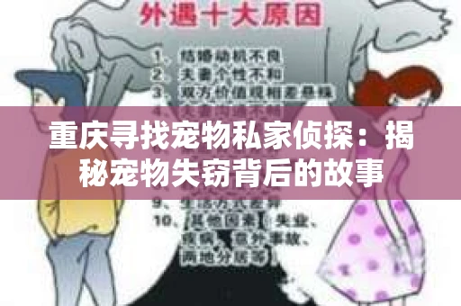 重庆寻找宠物私家侦探：揭秘宠物失窃背后的故事