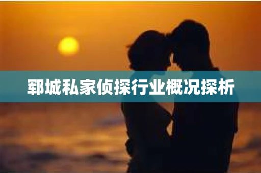 郓城私家侦探行业概况探析