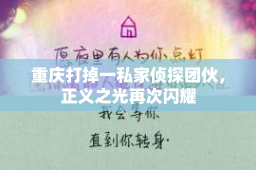 重庆打掉一私家侦探团伙，正义之光再次闪耀