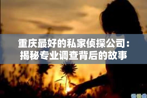 重庆最好的私家侦探公司：揭秘专业调查背后的故事