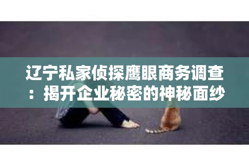 辽宁私家侦探鹰眼商务调查：揭开企业秘密的神秘面纱