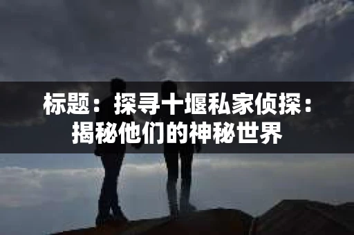 标题：探寻十堰私家侦探：揭秘他们的神秘世界