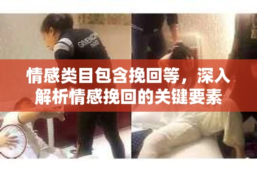 情感类目包含挽回等，深入解析情感挽回的关键要素